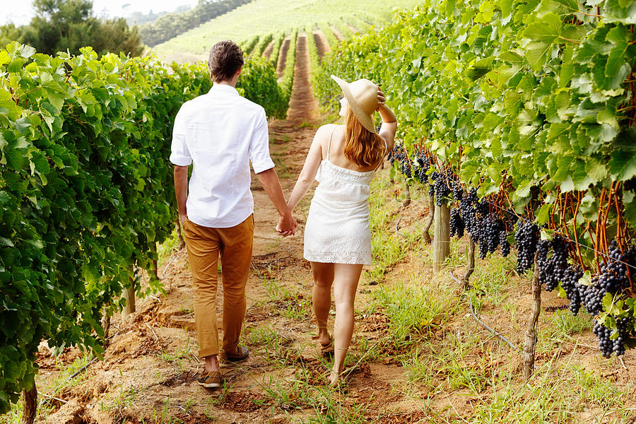 Couple walking away, hand in hand, through beautiful vineyard Photograph by RapidEye