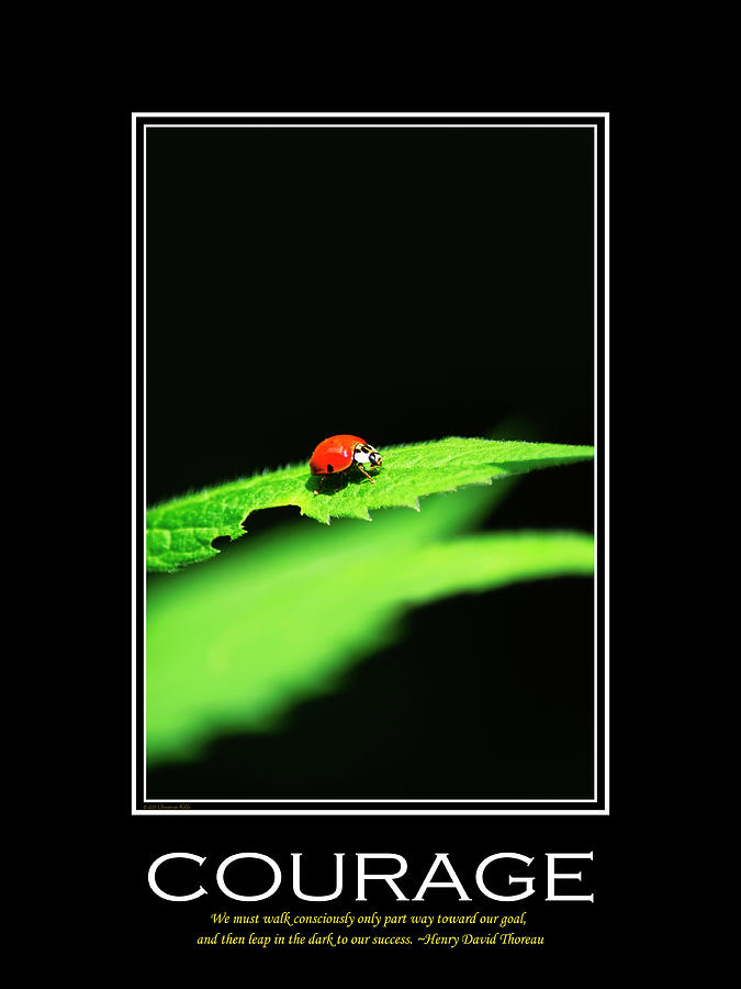 Courage Inspirational Motivational Poster Art Mixed Media by Christina Rollo