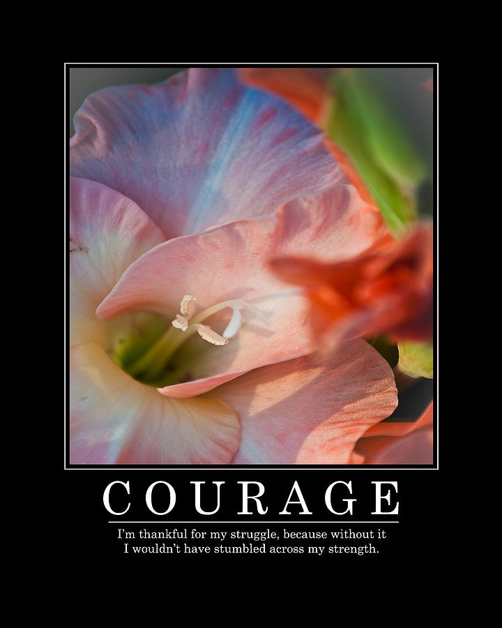 Courage Photograph by Joe Granita
