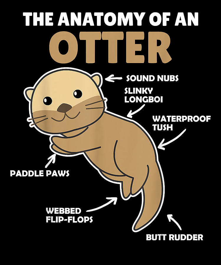 Courageous Attractive Cute Otter Explanation Anatomy Of An Otterretro ...