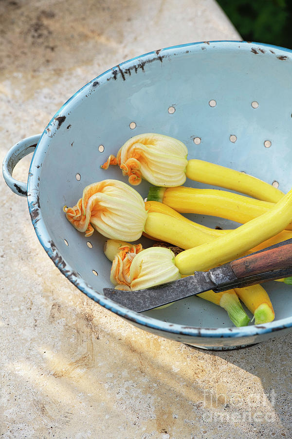 Courgettes in a Colander Photograph by Tim Gainey