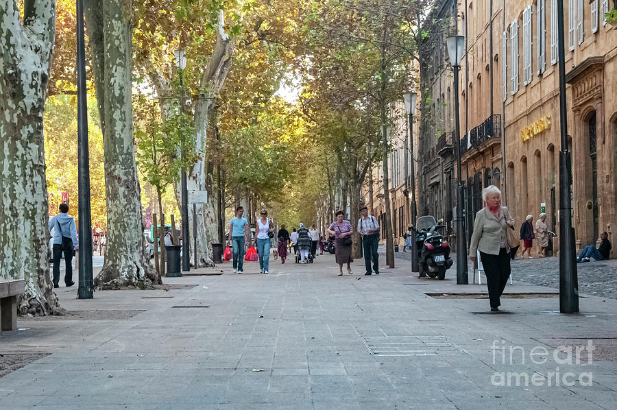 Cours Mirabeau in Aix Photograph by Bob Phillips  Fine Art America