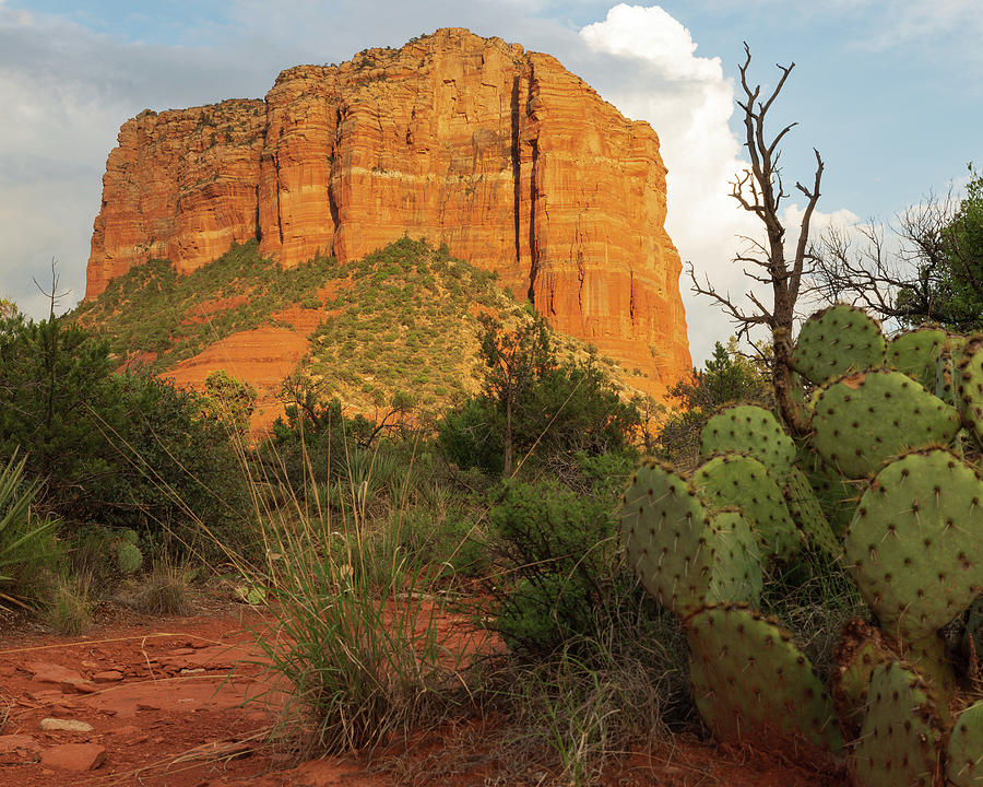 Courthouse Butte in Sedona Photograph by Mikes Nature