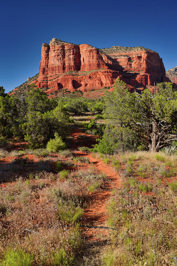 Courthouse Butte Trail  Photograph by Chance Kafka