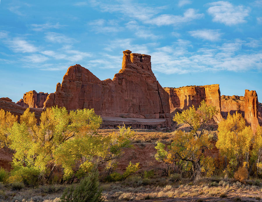 Arches National Park Photograph - Courthouse Towers from Courthouse Wash, Arches National Park, Utah by Tim Fitzharris