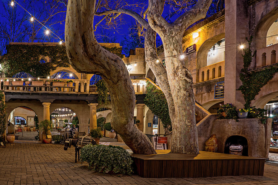 Courtyard at Night Photograph by Al Judge