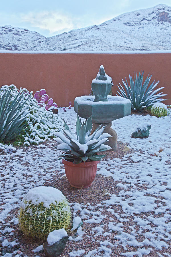 Courtyard in Snow Photograph by Tom Daniel