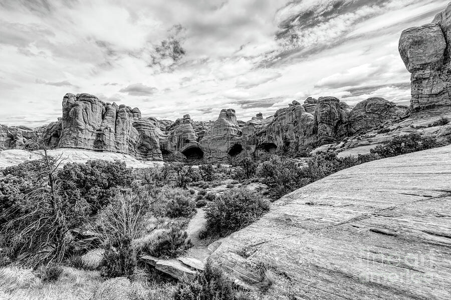 Cove Of Caves Utah Grayscale Photograph by Jennifer White Cove Of Caves Utah Grayscale Photograph by Jennifer White