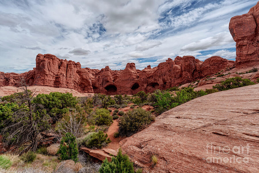 Cove Of Caves Utah Photograph by Jennifer White Cove Of Caves Utah Photograph by Jennifer White