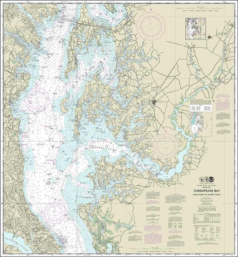 Cove Point to Sandy Point Nautical Chart 12263 No Borders Digital Art ...