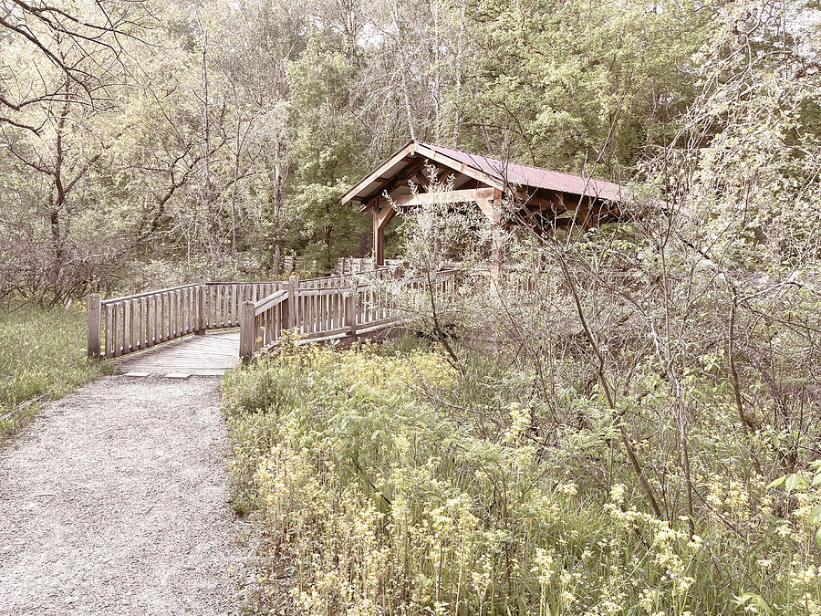 Covered Bridge along the Country River Walk Photograph by Debra and Dave Vanderlaan
