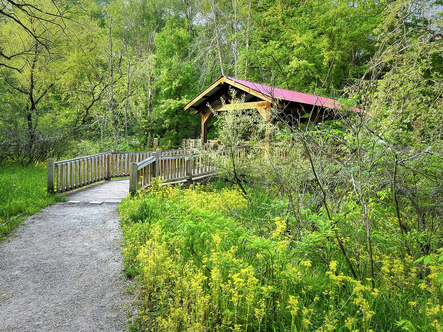 Covered Bridge along the River Walk Photograph by Debra and Dave Vanderlaan