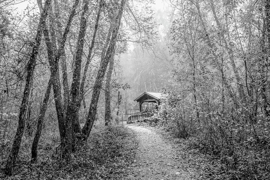 Covered Bridge along the Trail Black and White Photograph by Debra and Dave Vanderlaan
