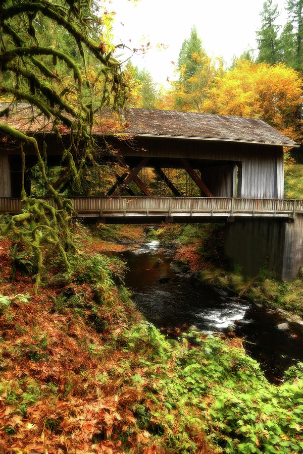 Tree Photograph - Covered Bridge At Cedar Creek Grist Mill by Athena Mckinzie