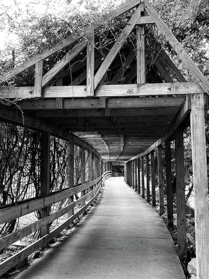 Covered Bridge Black And White Photograph By Ken Woo Pixels