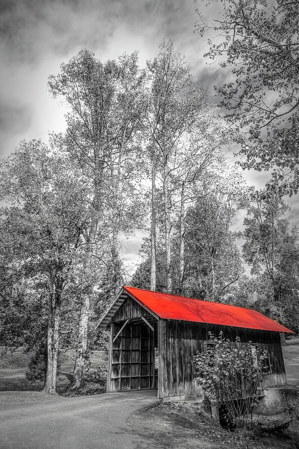 Covered Bridge in Autumn Black and White and Red Photograph by Debra and Dave Vanderlaan