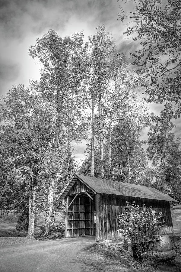 Covered Bridge in Autumn Black and White  Photograph by Debra and Dave Vanderlaan