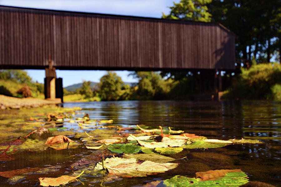 Covered Bridge in Autumn Photograph by Pamela Patch