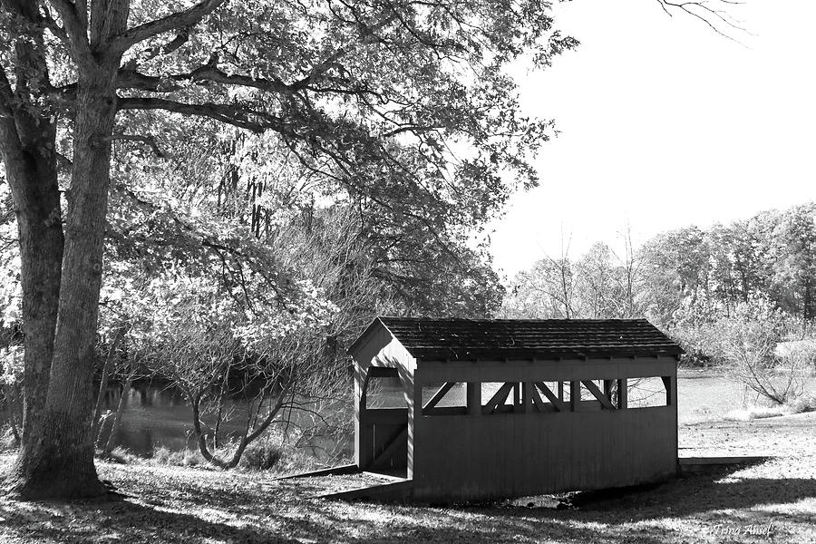 Covered Bridge in Black and White Photograph by Trina Ansel