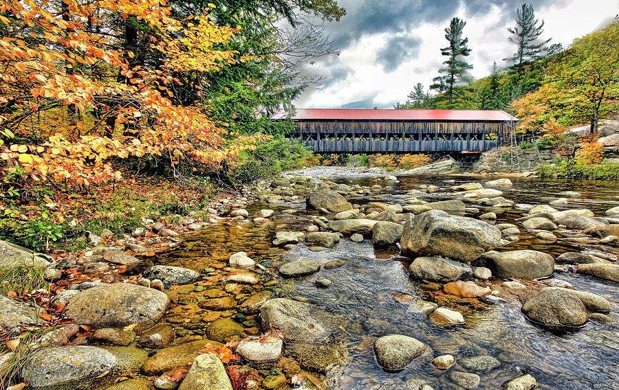 Tree Photograph - Covered Bridge In New Hampshire by James Steele