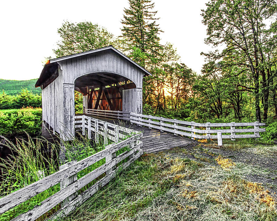 Covered Bridge, Pacific Northwest Photograph by Don Schimmel