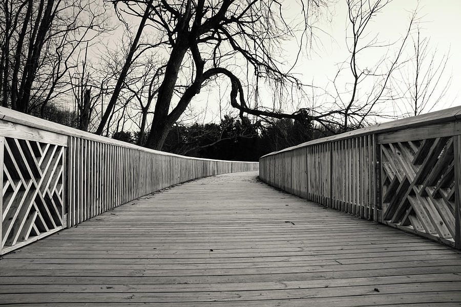 Covered Bridge Park Greenway Boardwalk Black and White Photograph by Jason Fink