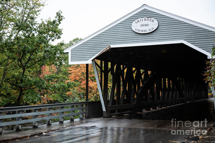 Covered Bridge Photograph by Timothy Johnson