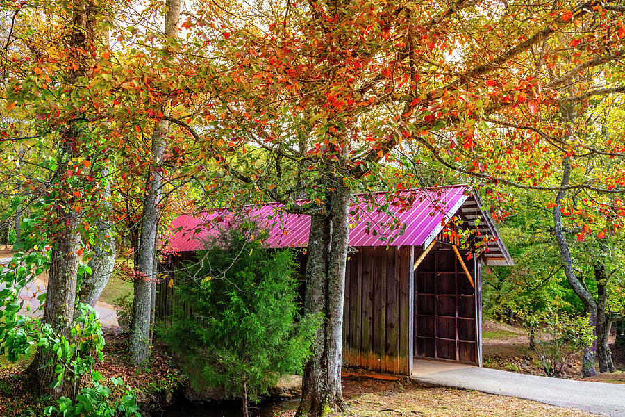 Covered Bridge Under the Autumn Trees Photograph by Debra and Dave Vanderlaan