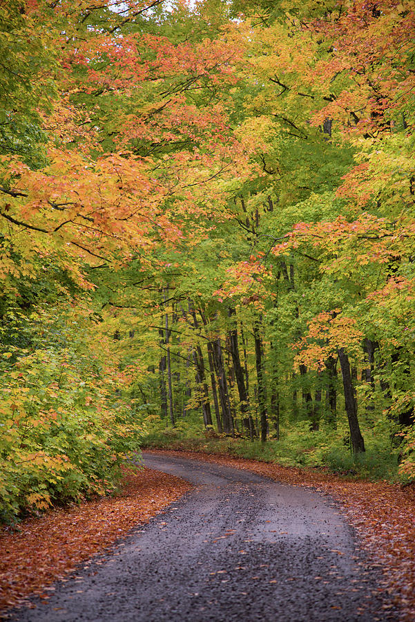 Covered Drive, Houghton Mi Photograph By Ed Parker 