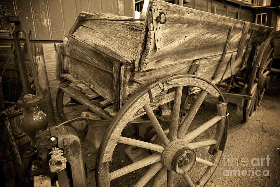 Covered Wagon Photograph by Catherine Walters