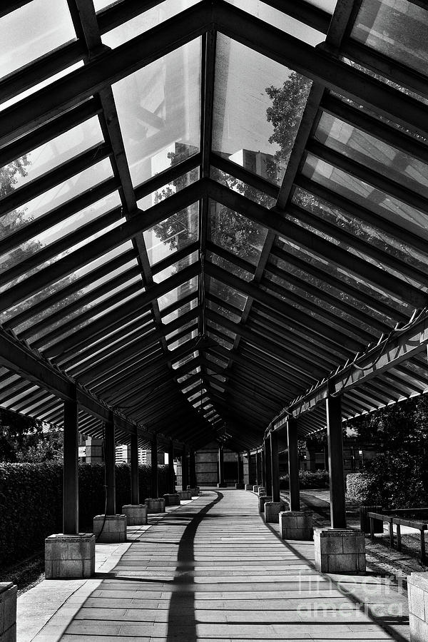 Covered Walkway Photograph by Yvonne Johnstone