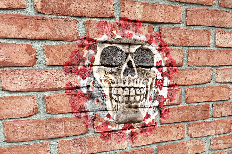 Covid19 skull on wall Photograph by Pics By Tony