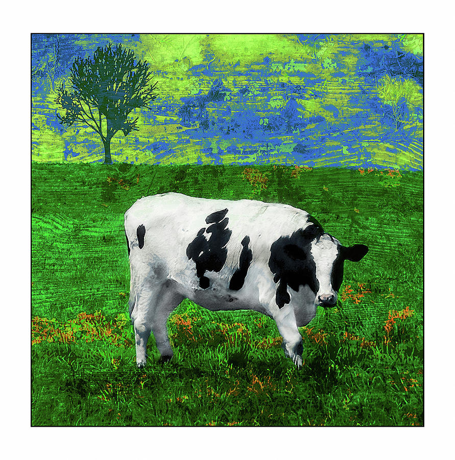 Cow Green Blue Photograph