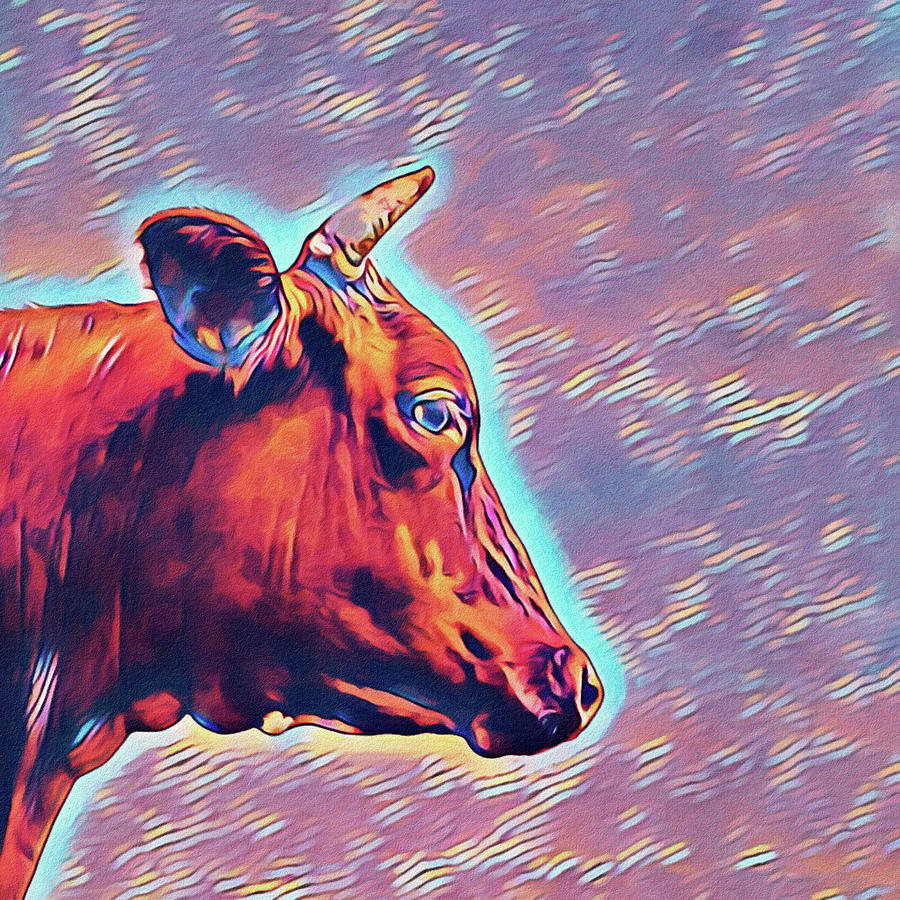 Cow Contemplation Digital Art by Susan Maxwell Schmidt