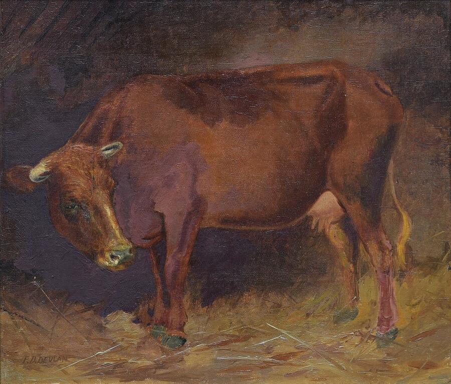 Cow Painting by Francis Devlan Fine Art America