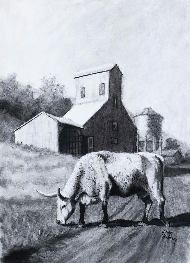 Black And White Drawing - Cow Grazing by Silo by Jordan Henderson