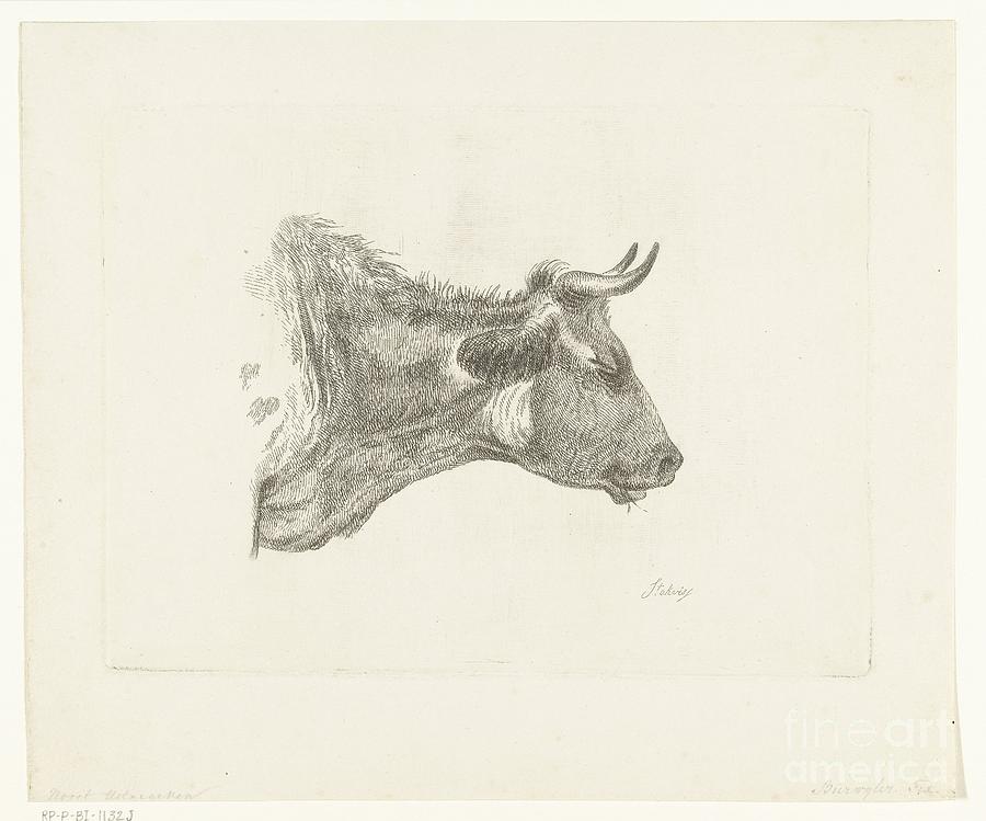 Nature Painting - Cow head with blade of grass in its mouth, Frederik Christiaan Bierweiler, after Hendrik Stokvisch,  by Shop Ability