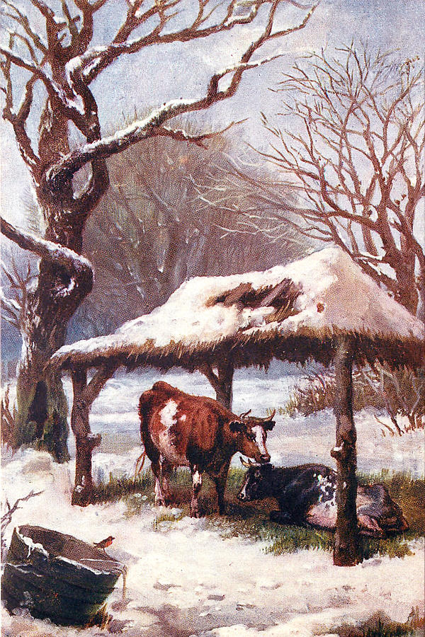 Winter Digital Art - Cow in the Snow by Long Shot