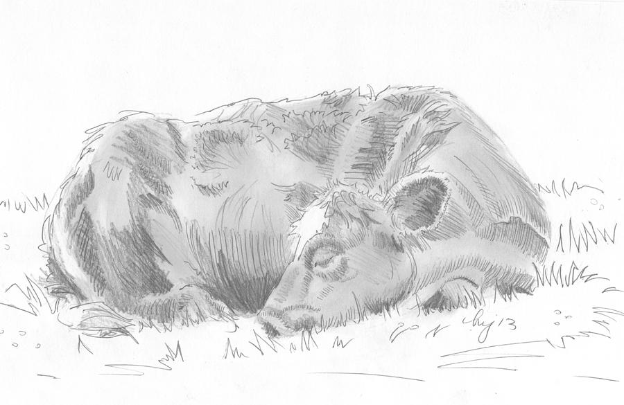 Cow lying down asleep drawing Drawing by Mike Jory