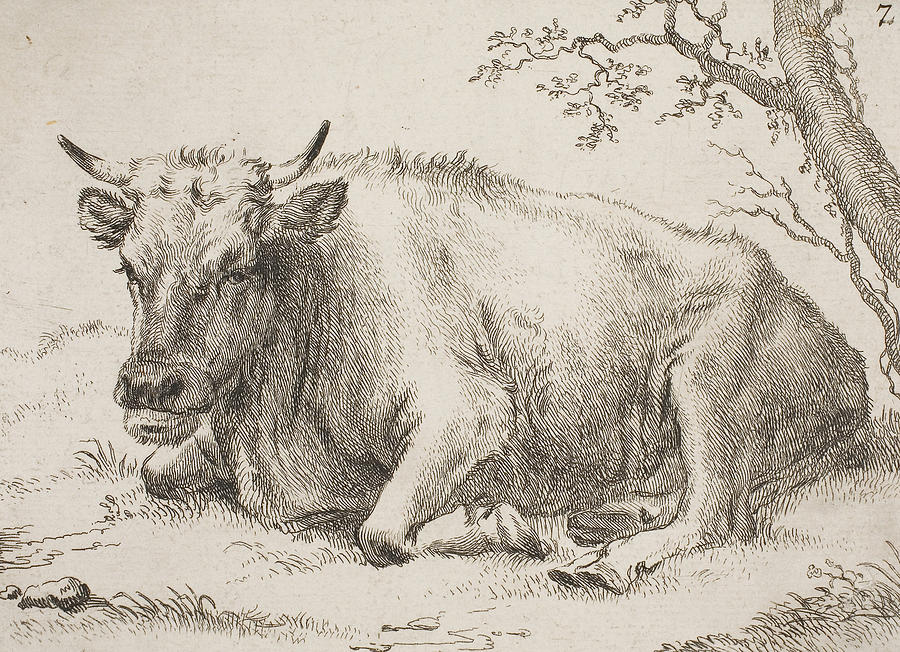 Cow Lying Down Beside a Tree Relief by Paulus Potter