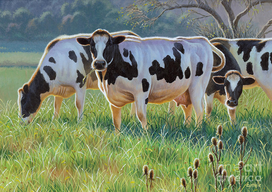 Cow Painting - Cow Meadow by Cynthie Fisher