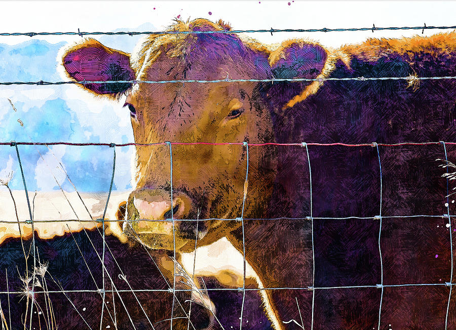 Cow Peering Thru Fence Photograph by Pamela Williams