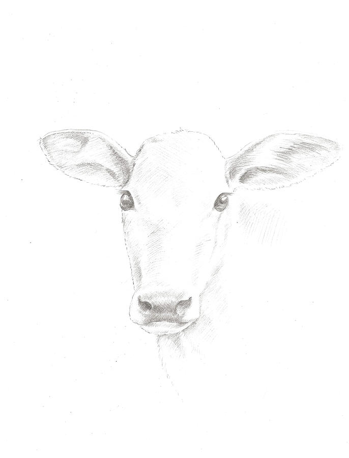 12 Best cow sketch ideas | cow painting, cow art, cow-gemektower.com.vn