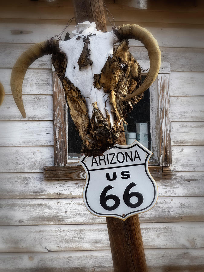 cow skull and  Route 66 sign Photograph by Gary Warnimont