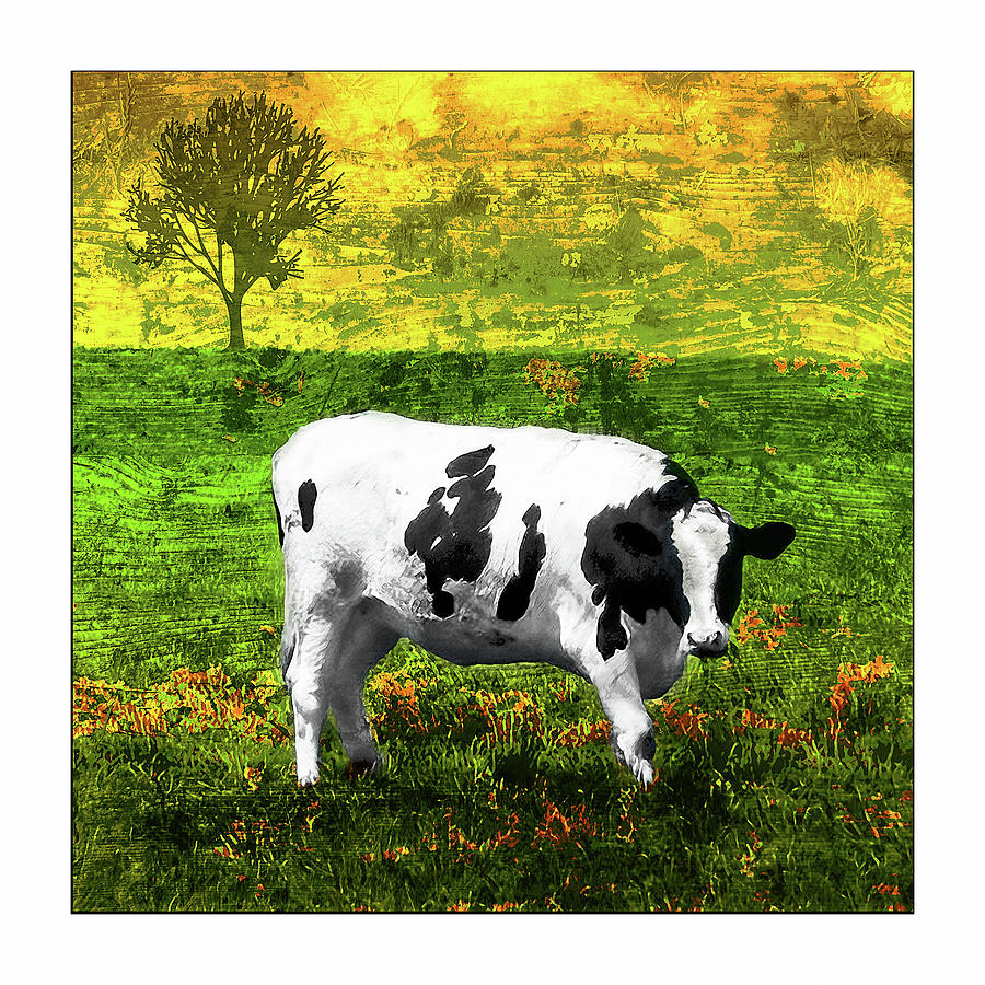 Cow Yellow Green Photograph by ARTtography by David Bruce Kawchak
