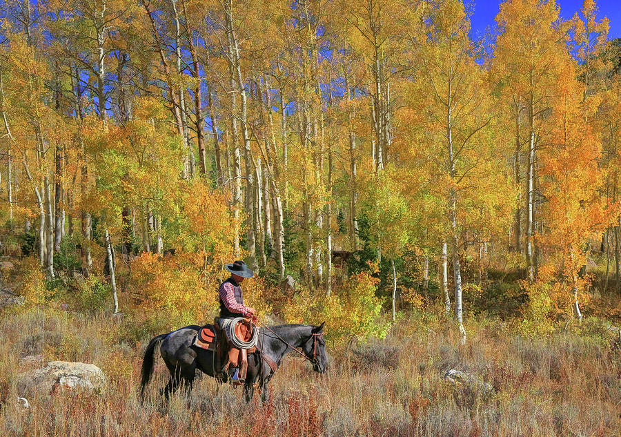 Horse Photograph - Cowboy At Work by Donna Kennedy