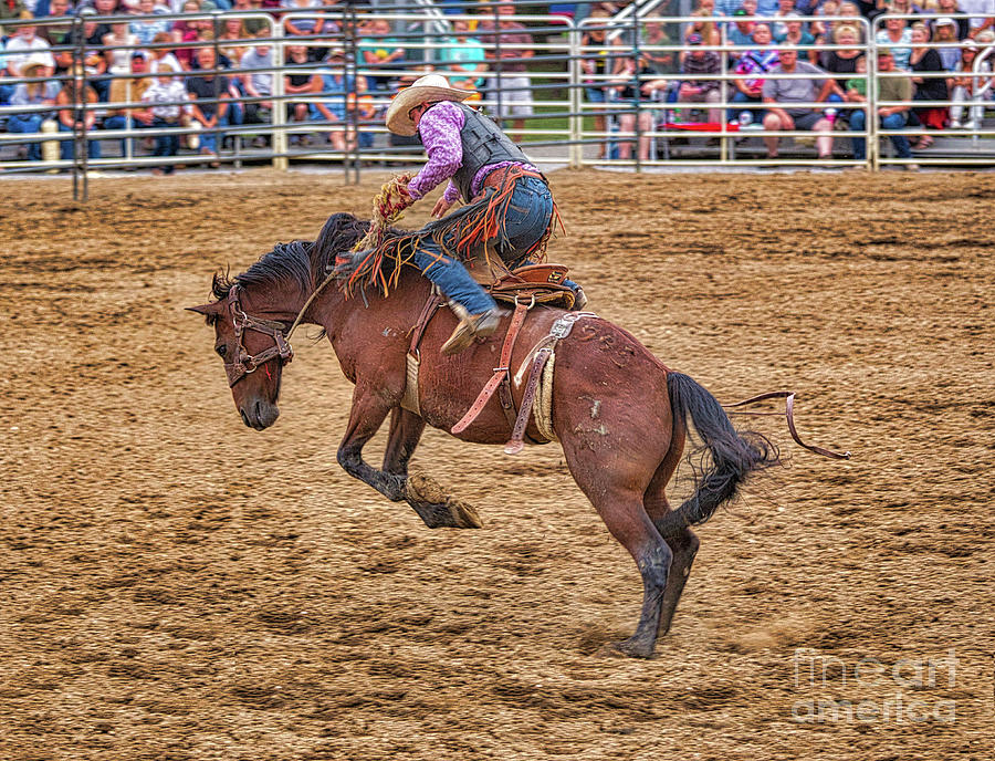 Cowboy Bronco Riding At The Rodeo  Photograph by Randy Steele