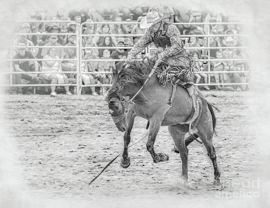 Cowboy Bronco Riding Black And White Digital Art