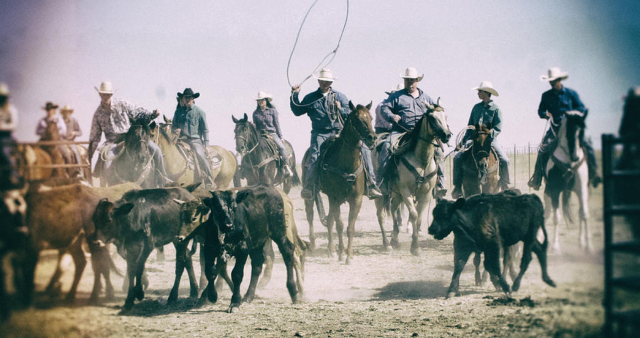 Cowboy Bull Roundup Photograph by Stevecoleimages