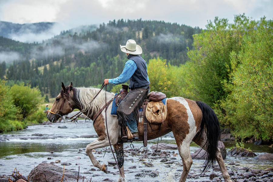 Cowboy Crossing the Creek Photograph by Scott Hizny - Fine Art America